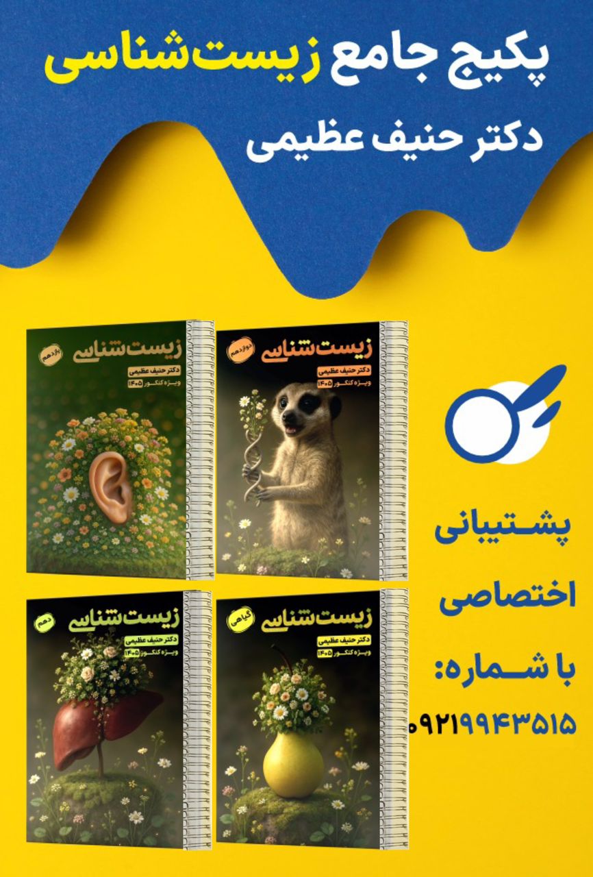Tamland_product_2025-12-28-12-18-41